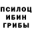Галлюциногенные грибы мухоморы Bohdan Selin
