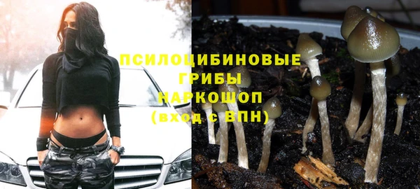 а пвп мука Новодвинск