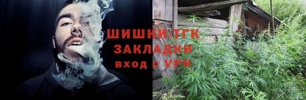 PSILOCYBIN Новозыбков