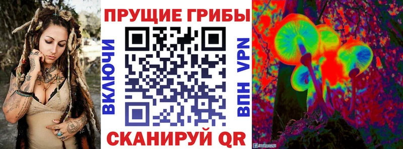Галлюциногенные грибы мухоморы  купить наркоту  hydra как зайти  Королёв 